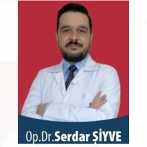 Serdar Şiyve