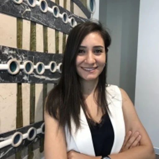 American VIP Dil Kursu 🇺🇸