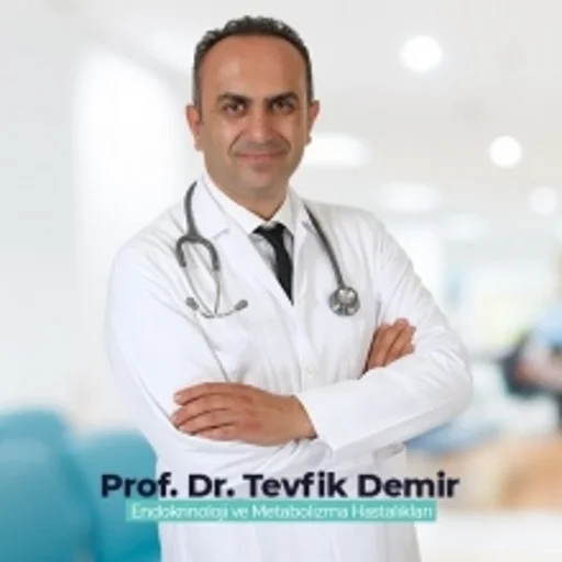 Tevfik Demir