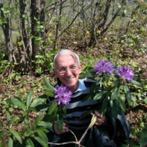 Aziz Hacıbektaşoğlu