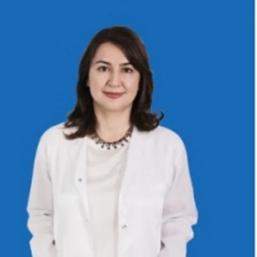 Hamide Füsun Sağlam