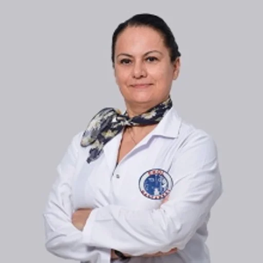 Hasane Pehlivan Yoleri