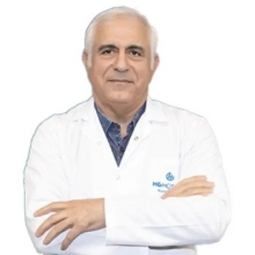 Mehmet Hanifi Dağolu