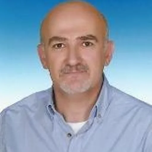 Hasan Bülent Onaran