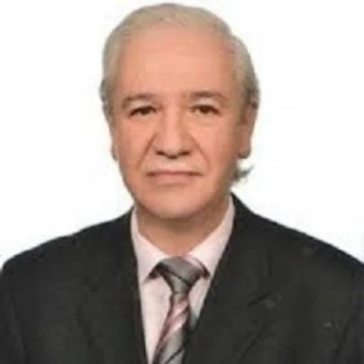 Mehmet Doğan