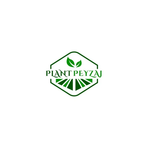 PLANT PEYZAJ