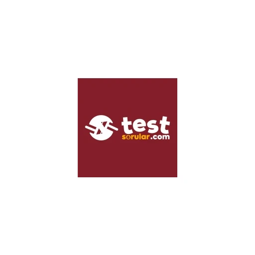TESTSORULAR.COM