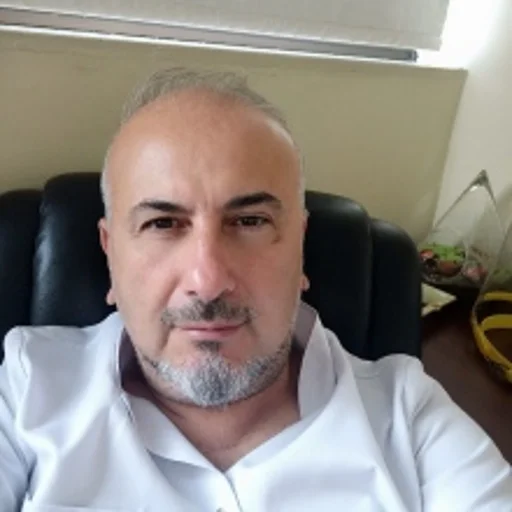 Mehmet Hakan Seyithanoğlu