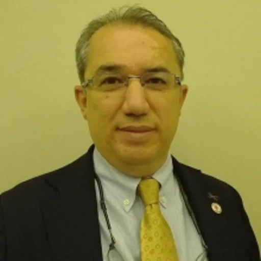Ali Güler