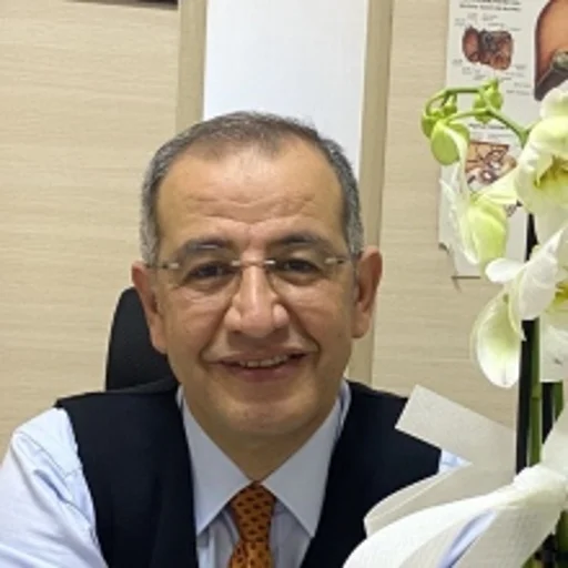 M. Yavuz Çapan