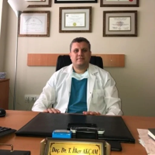 Tevfik İlker Akçam