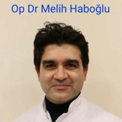 Melih Haboğlu