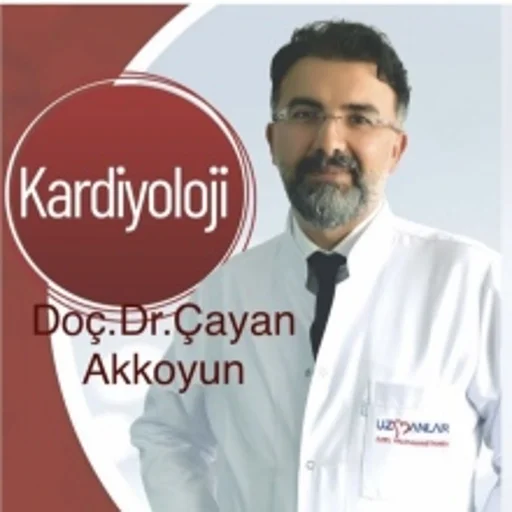 Çayan Akkoyun