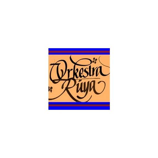 DENİZLİ ORKESTRA RÜYA MÜZİK GRUBU