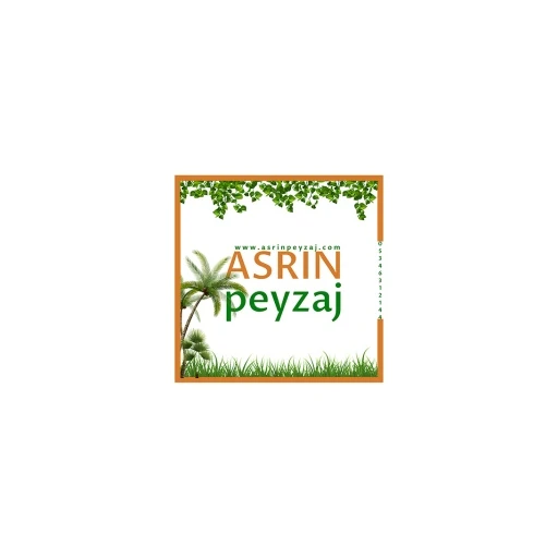 ASRIN PEYZAJ