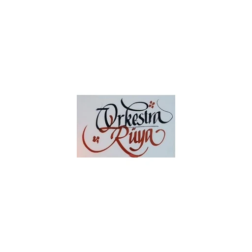 ORKESTRA RÜYA DENİZLİ DÜĞÜN ORKESTRASI SES IŞIK SİSTEMLERİ